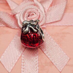 Sterling Silver 925 Reg Lucky Bag Charm